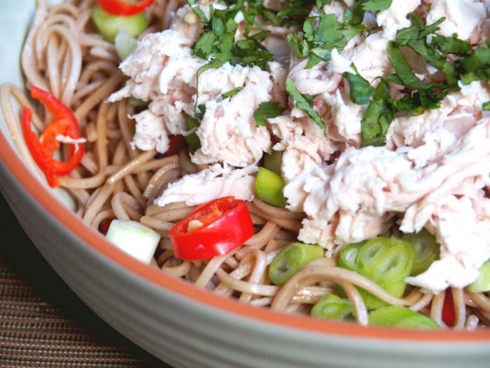 Chicken Noodle Salad | The Annoyed Thyroid