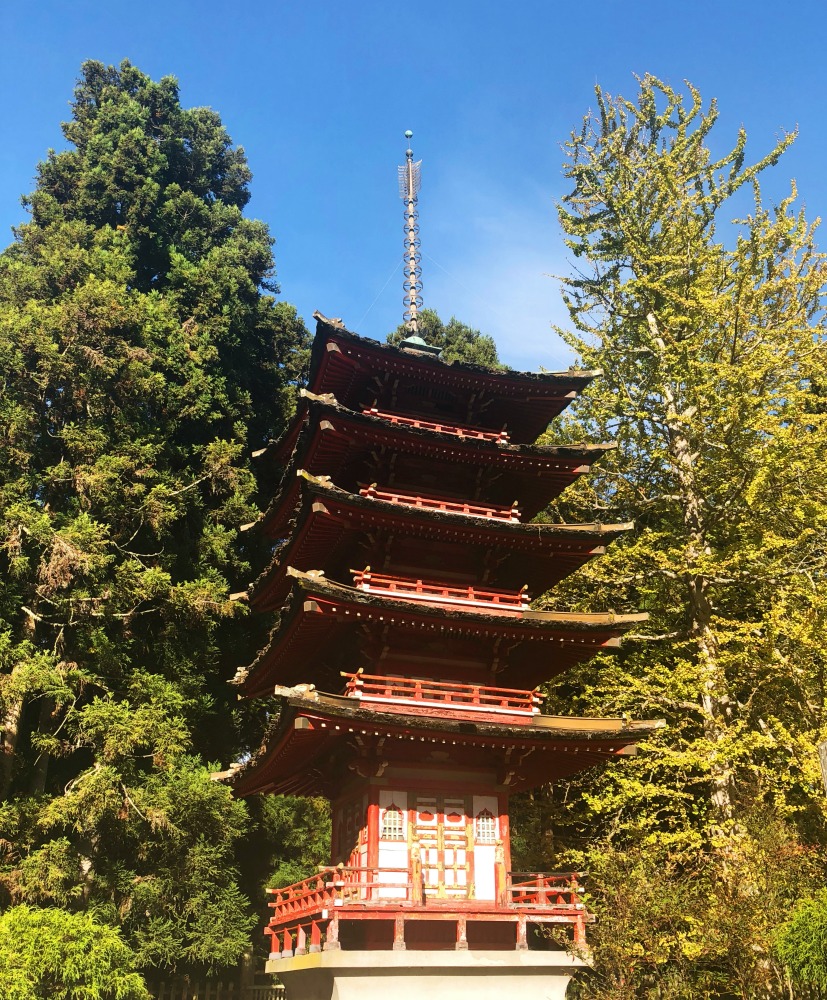 things to see and do in San Francisco - Japanese Tea Garden