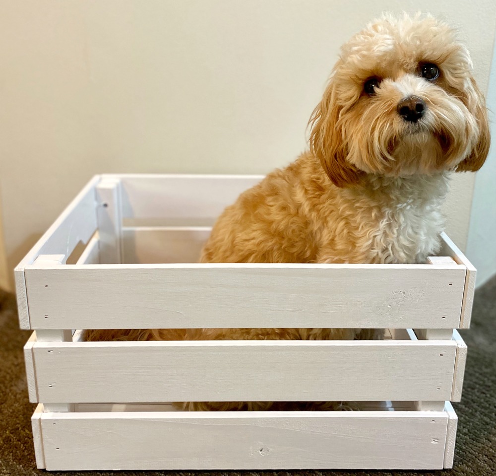 diy-how-to-make-a-dog-toy-box-the-annoyed-thyroid