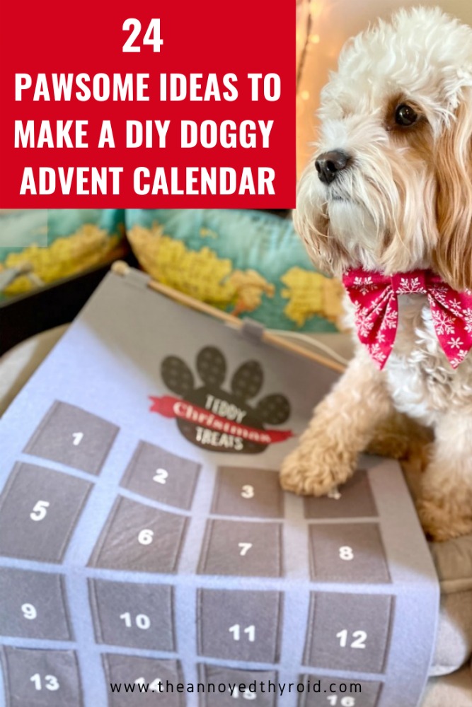 24 Pawsome Ideas to Make a DIY Doggy Advent Calendar The Annoyed Thyroid