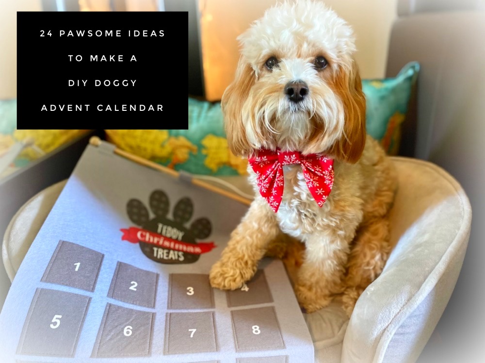 24 Pawsome Ideas to Make a DIY Doggy Advent Calendar The Annoyed Thyroid