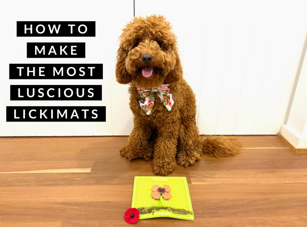 Lick Mat Guide: What They Are, How to Use Them, and Why They're