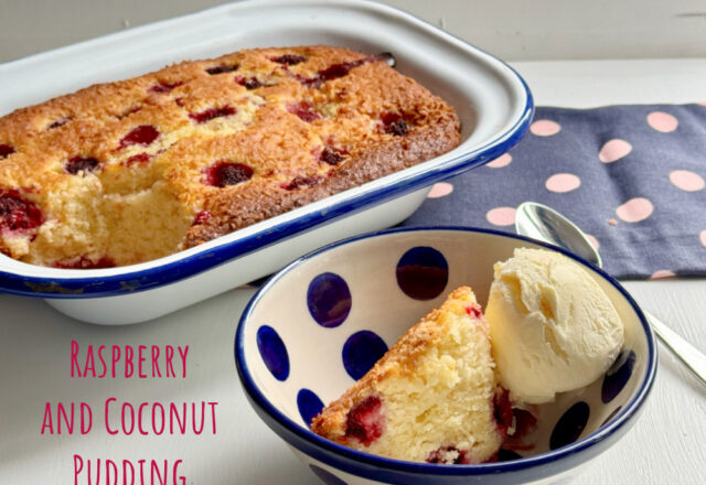 Raspberry and Coconut Pudding